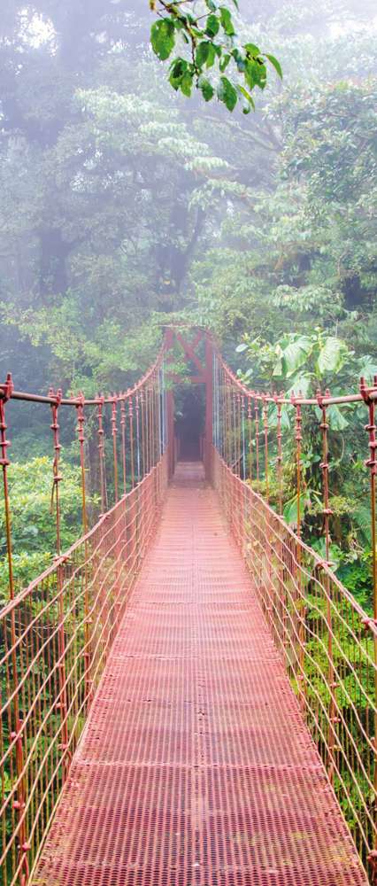 Monteverde Cloud Forest, Costa Rica