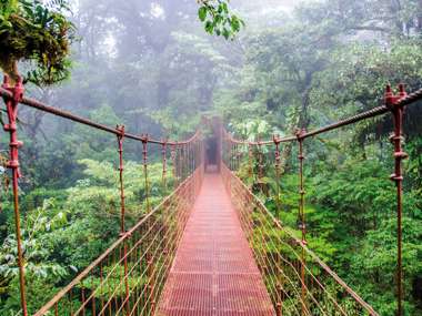 Monteverde Cloud Forest, Costa Rica