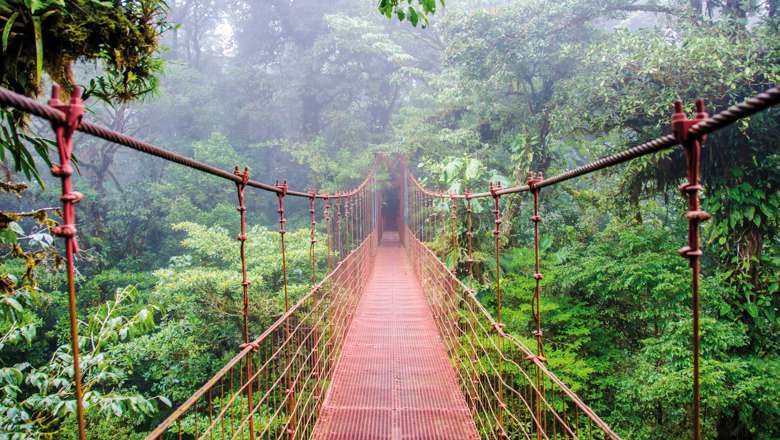 Monteverde Cloud Forest, Costa Rica