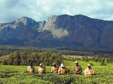 Mulanje Massif Mountain Range, Malawi, Africa