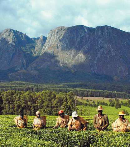 Mulanje Massif Mountain Range, Malawi, Africa