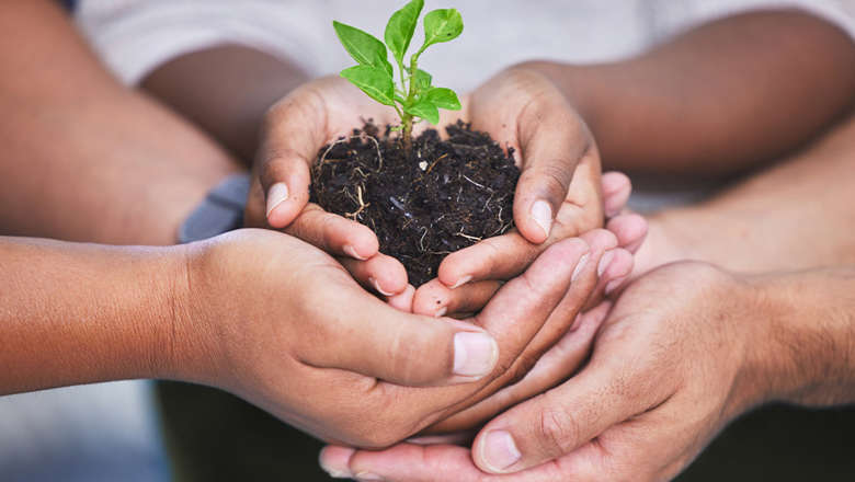 hands cupping soil with a small plant growing upwards from the soil