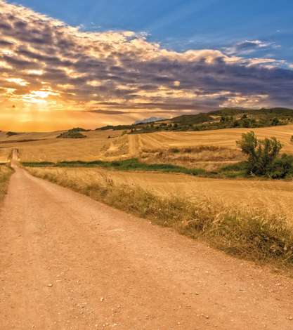 Road To Santiago, Navarra, Spain