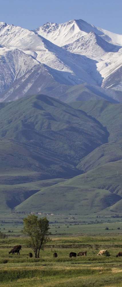 Burana Tower, Silk Road, Kyrgyzstan