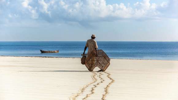  Fisherman dragging fishing net into water, Mombasa