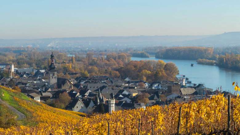 Rudesheim, Germany