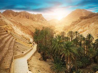 View Of Mountain Oasis, Chebika, Sahara Desert, Tunisia