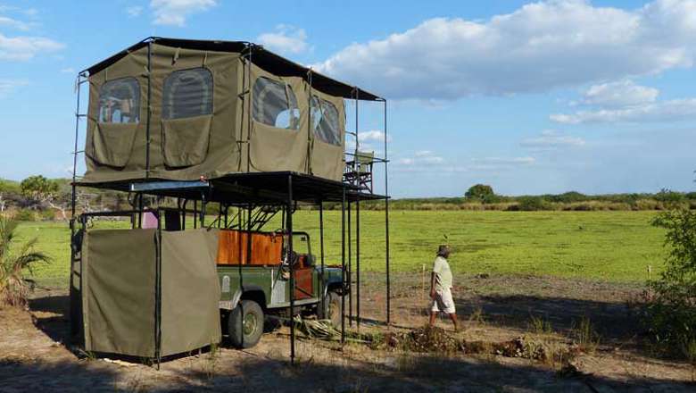 Bush Rovers, Serengeti, Tanzania, Bush rover with view of field