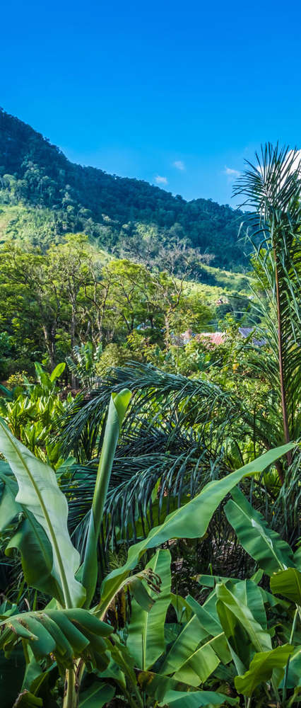 Ranomafana, Madagascar