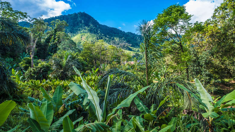 Ranomafana, Madagascar