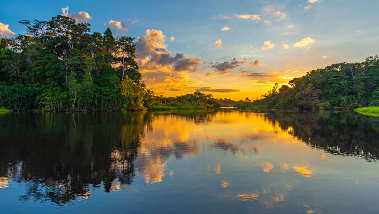 Amazon River