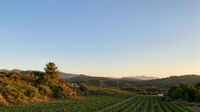 Wine Tasting And Lunch, Rhodes