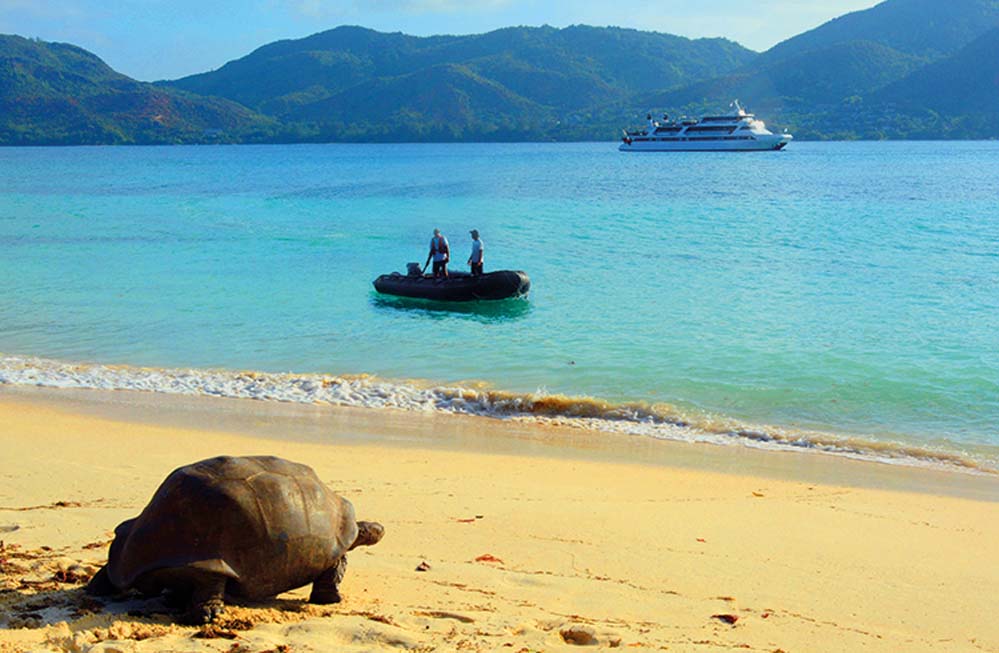 MY Pegasus Vessel Seychelles, Beach