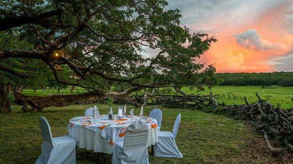 Hwange Safari Lodge, Hwange National Park, Zimbabwe, Gardens