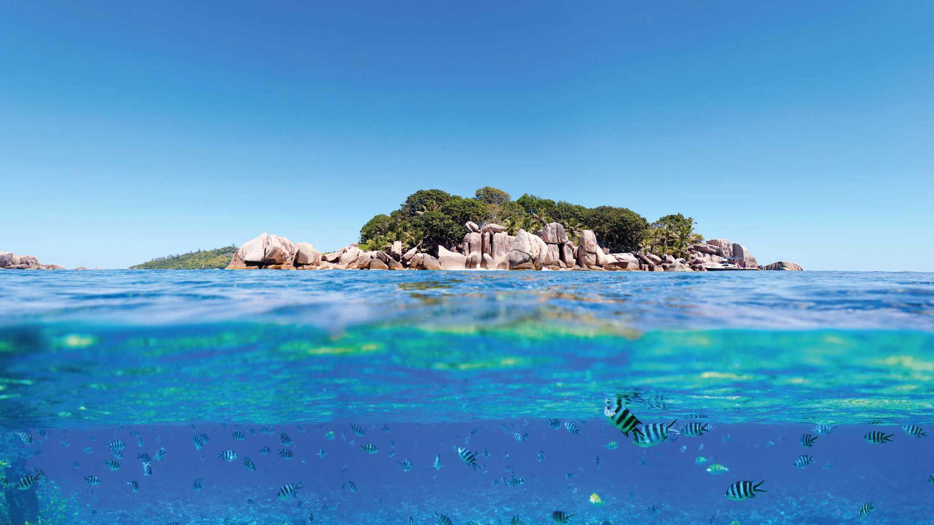 Fish in Water, Island view in the background, Seychelles