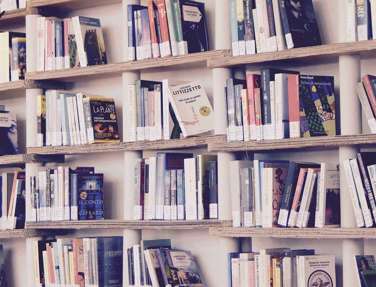 Books lined up on a wooden bookshelf