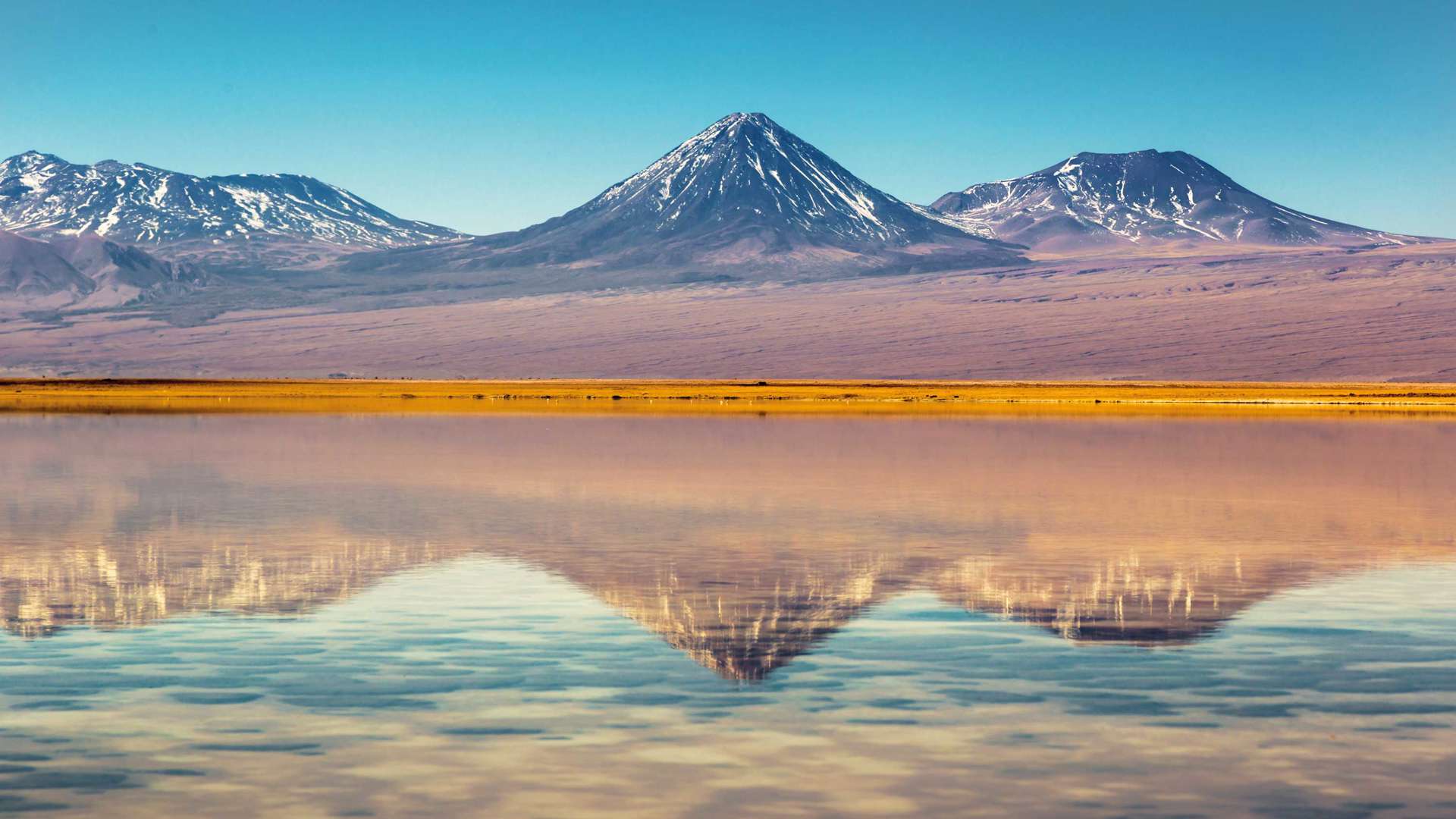 Atacama Desert, Northern Chile, South America