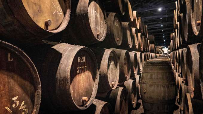 Wooden casks of port lining a cellar