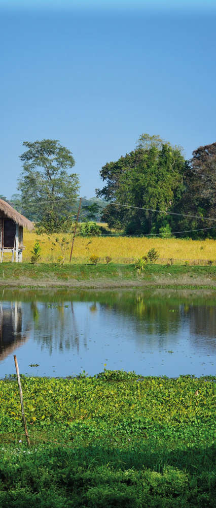 Majuli Island, Brahmaputra River