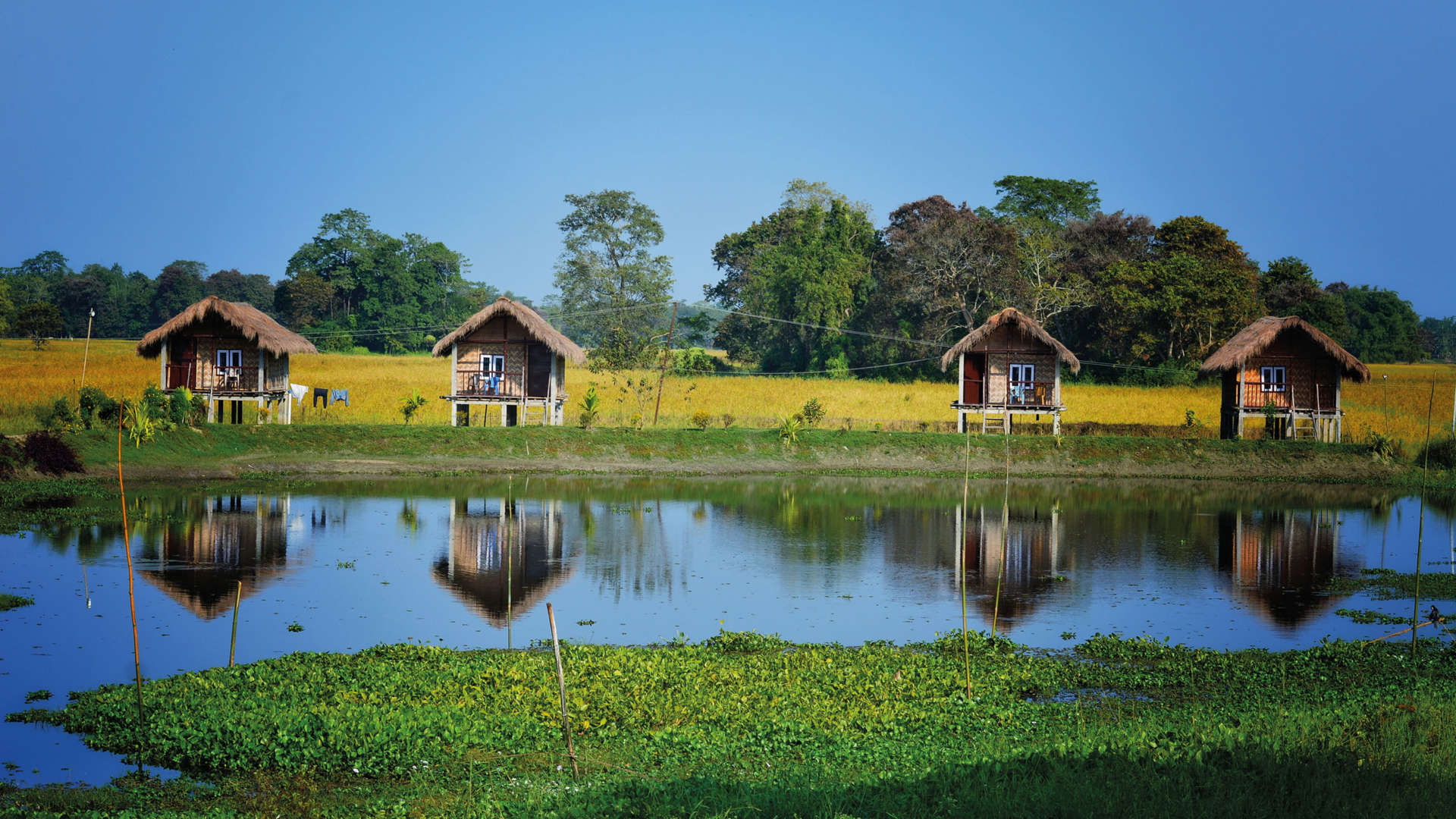 Majuli Island, Brahmaputra River