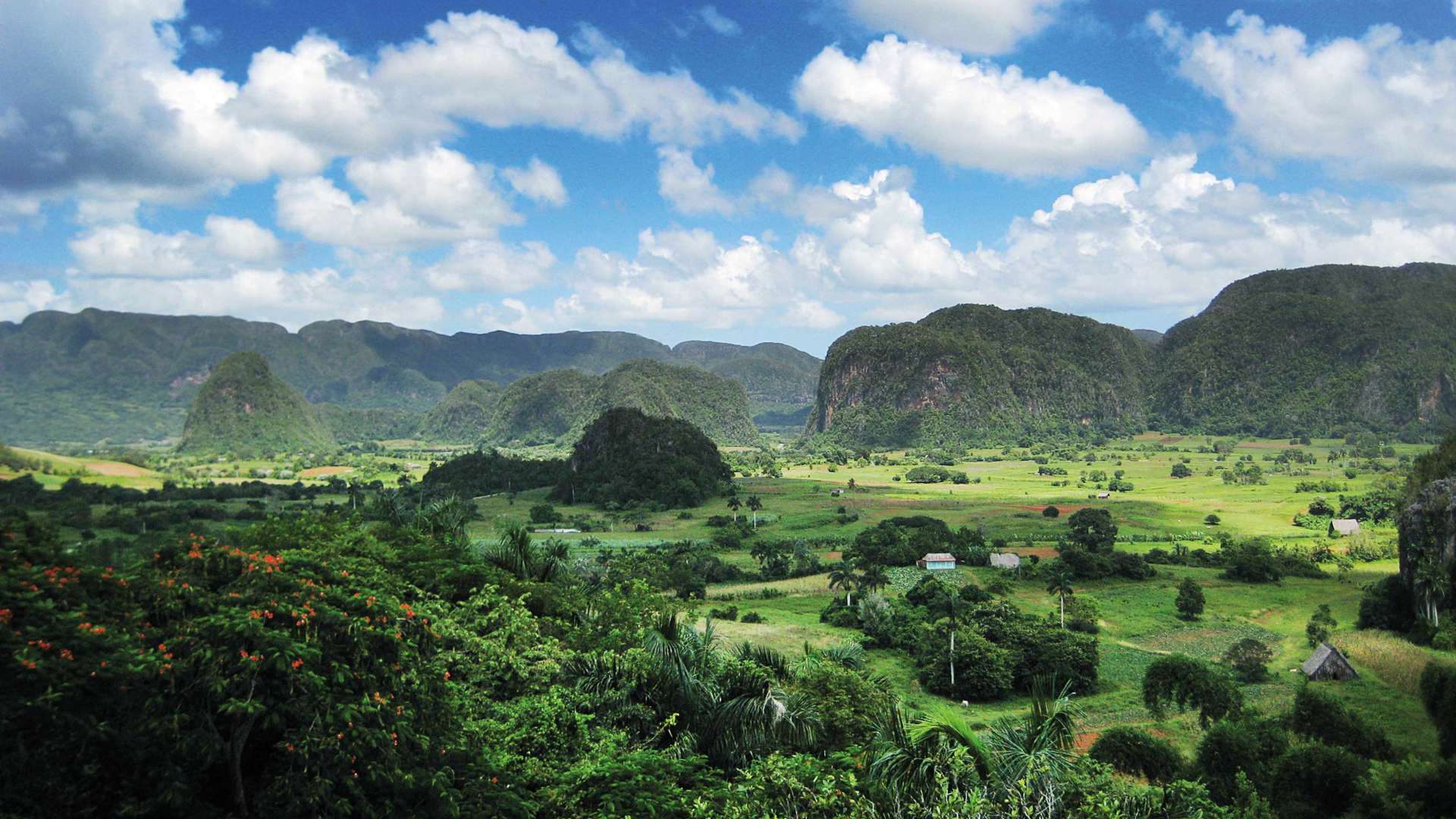 Vinales Valley, Pinar Del Rio, Cuba