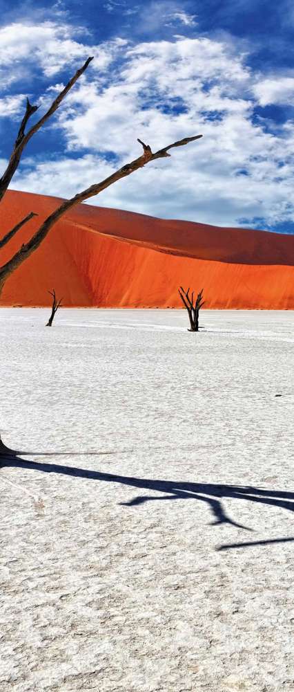 Deadvlei, Sossusvlei, Namibia