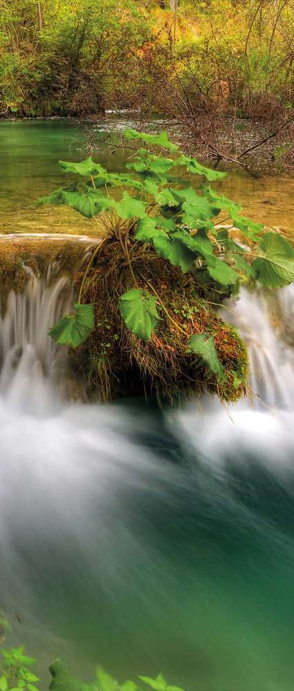 Water Reservoir, Plitvice Lakes National Park, Croatia