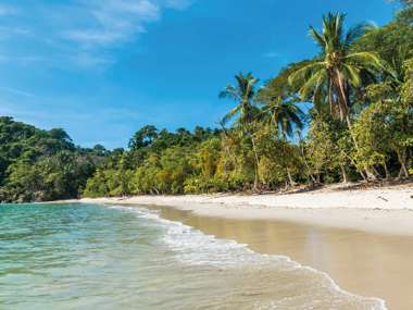 Tropical Beach, Manuel Antonio, Costa Rica