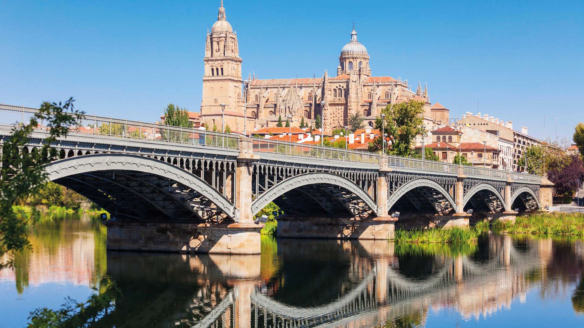 Salamanca Cathedral Salamanca 1039403179