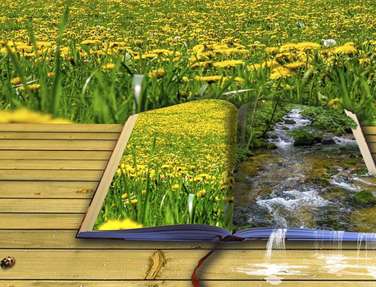 Imaginative image of an open book with fields and a running waterfall over the edge