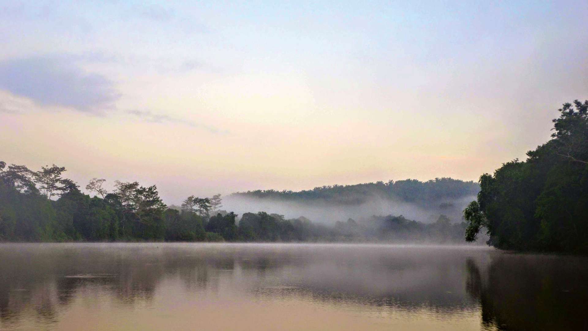 Kinabatangan River at dusk, Malaysia