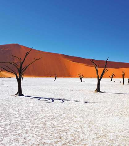 Dead Camelthorn Trees, Deadvlei, Sossusvlei