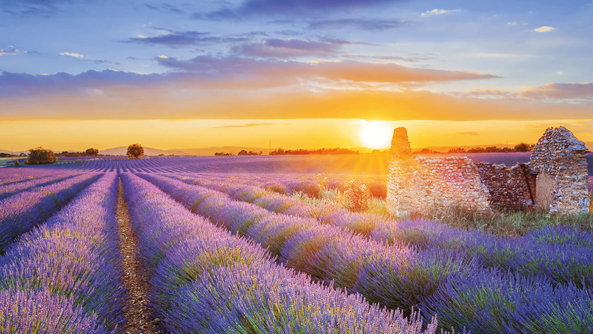 Provence Shutterstock 443004475