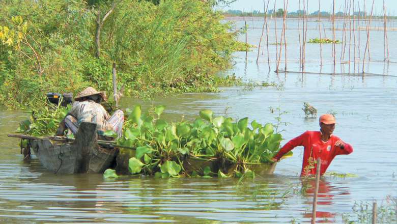 Mekong River, Cambodia