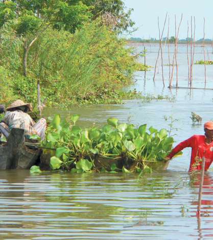 Mekong River, Cambodia