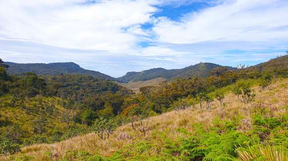 Horton Plains, Sri Lanka