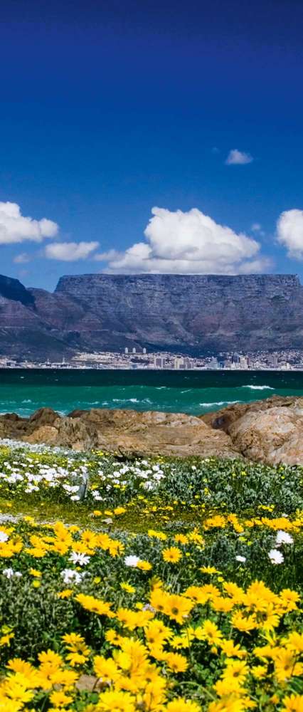 Table Mountain Cape Town, South Africa