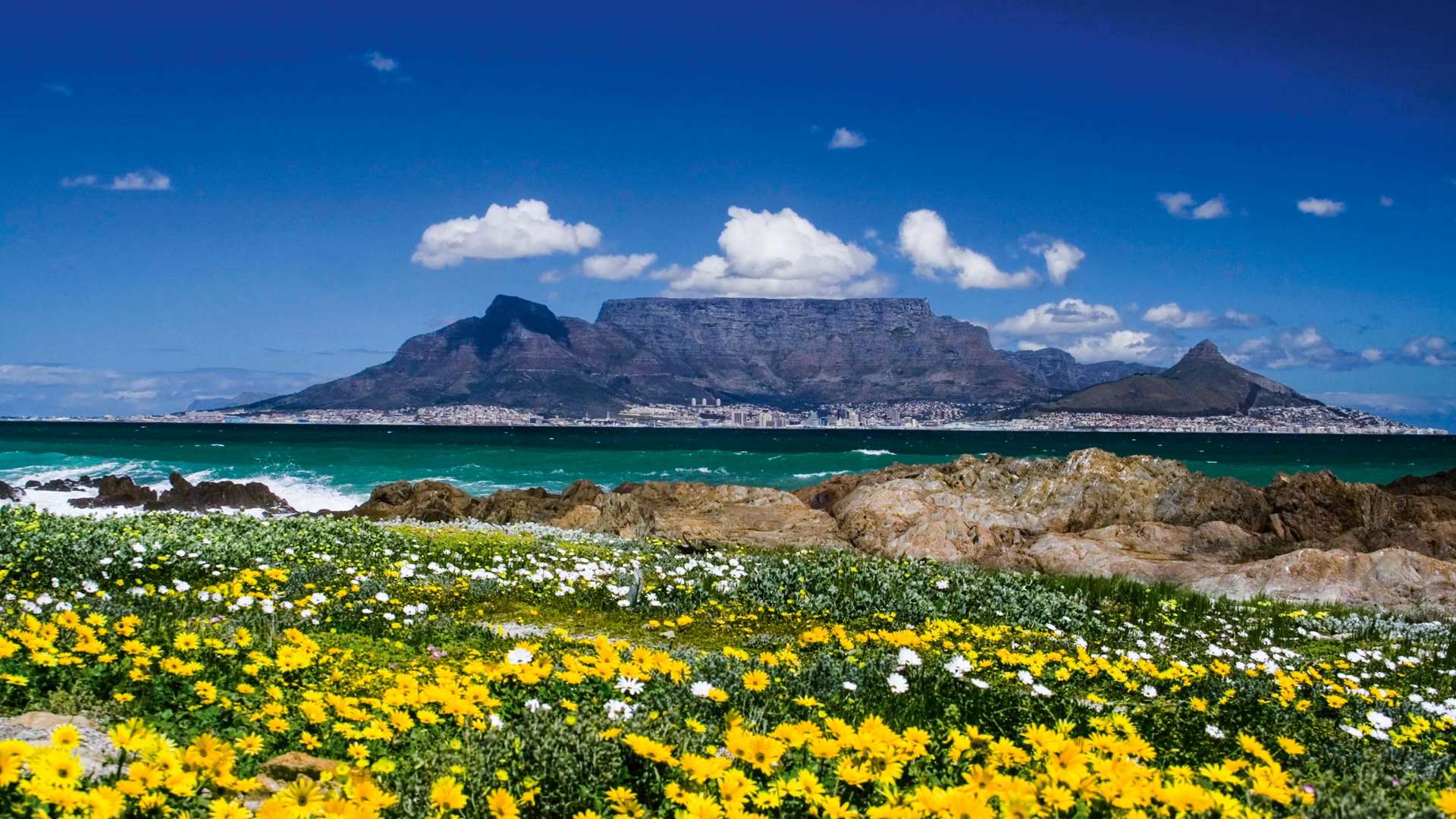 Table Mountain Cape Town, South Africa