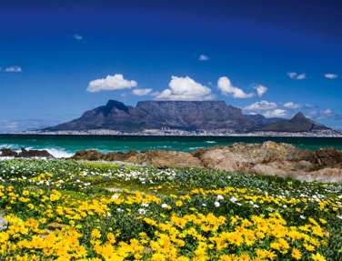 Table Mountain Cape Town, South Africa