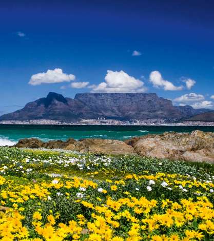 Table Mountain Cape Town, South Africa