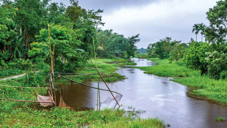 Brahmaputra River Tributary, India