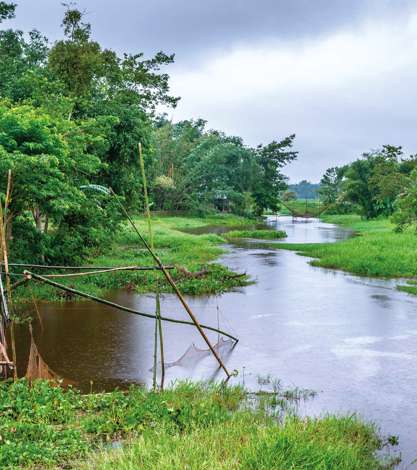 Brahmaputra River Tributary, India