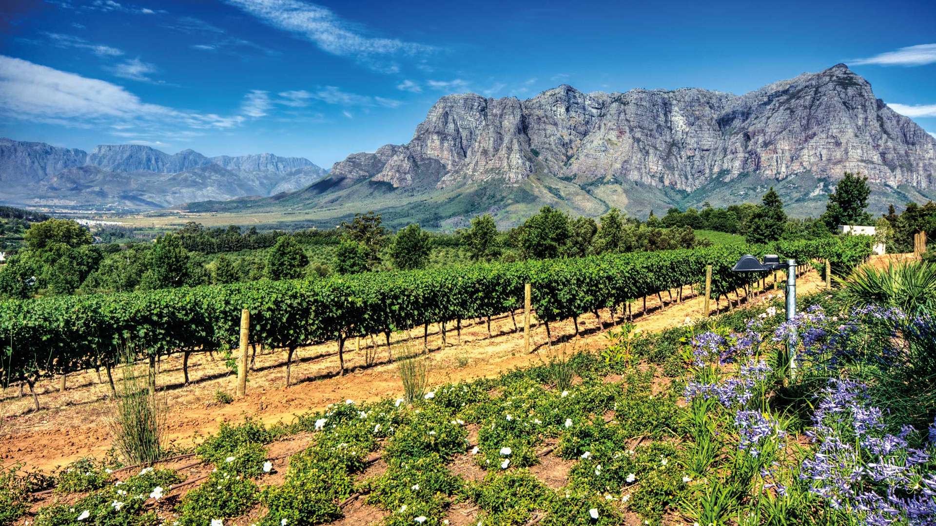 Cape Winelands, South Africa