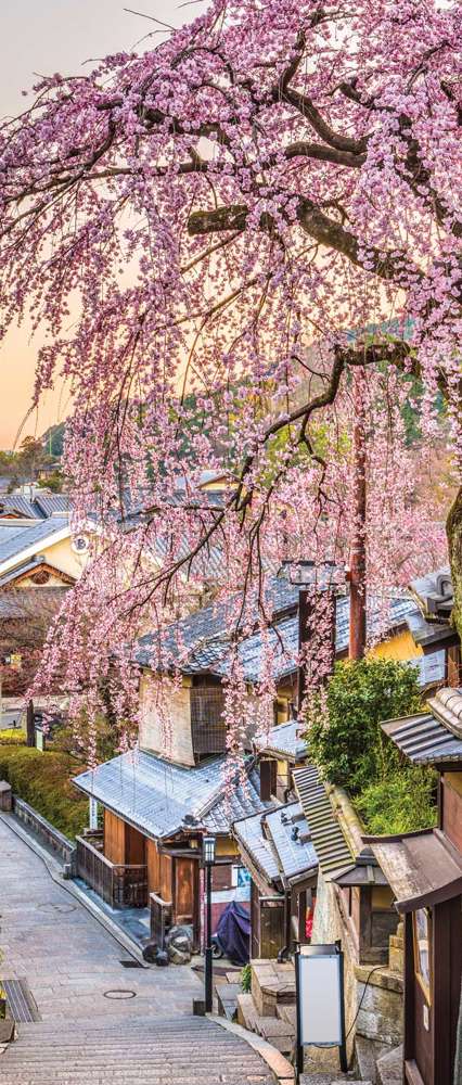 Kyoto, Japan