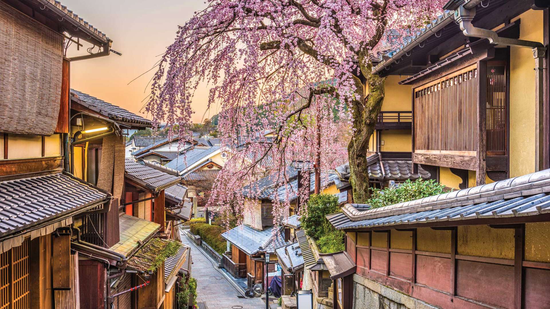 Kyoto, Japan