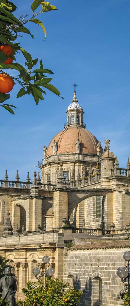 Cathedral Jerez De La Frontera, Spain