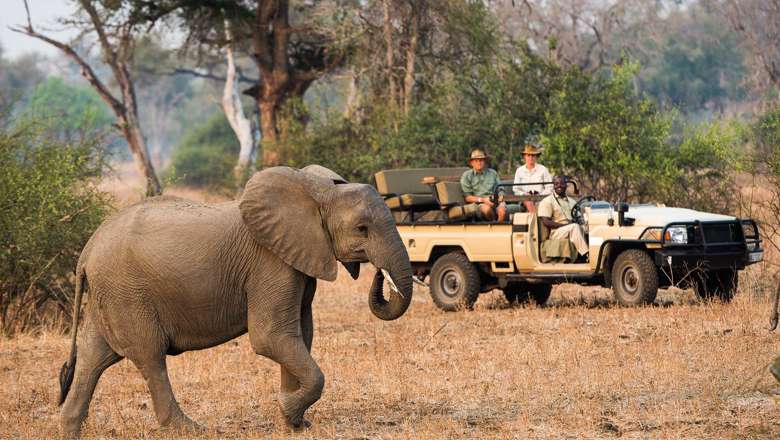 Nsefu Camp, South Luangwa National Park, Zambia