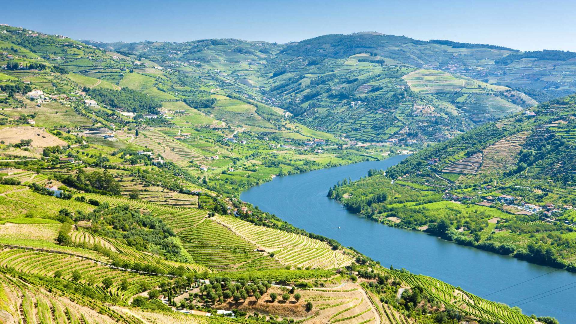 Douro Valley Shutterstock 42868861