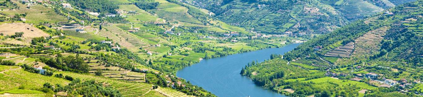 Douro Valley Shutterstock 42868861