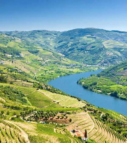 Douro Valley Shutterstock 42868861